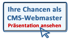 Flash Prsentation - Ihre Chancen als CMS-Webmaster